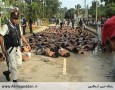 کشتار مسلمانان میانمار به دست بودائیان