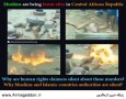 Stop killing muslims in central african republic